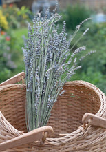 Load image into Gallery viewer, Lavender Bouquet