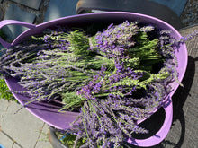 Load image into Gallery viewer, Lavender Bouquet